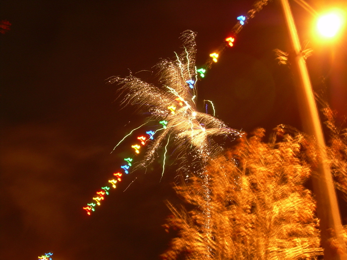 DSCN22470226 (700x525, 287Kb)