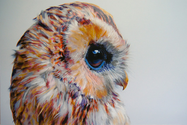 owl-4 (640x428, 88Kb)