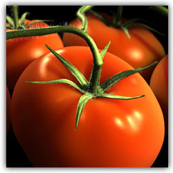 pomidori (250x250, 15Kb)