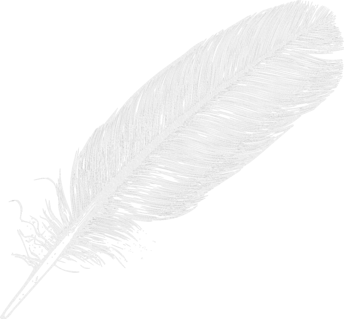 feathers (5) (700x648, 286Kb)
