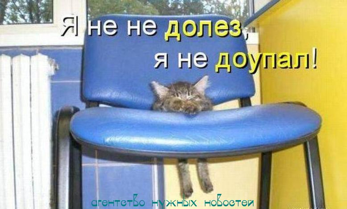 9la63Fhnhzbm (1) (700x422, 272Kb)