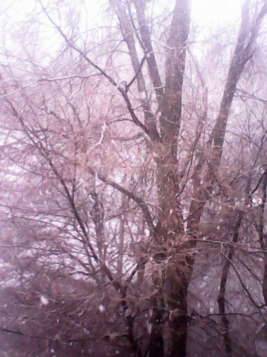 5680772_hTLQ9UdQ9M8 (525x700, 294Kb)