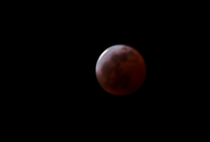 5559494_DSC00891 (700x471, 7Kb)