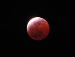 DSCN2801 (700x525, 154Kb)