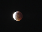  DSCN2902 (700x525, 209Kb)