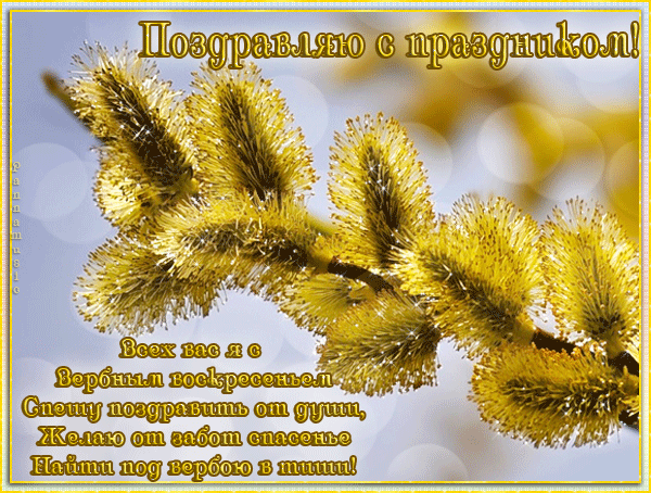  (600x454, 2149Kb)