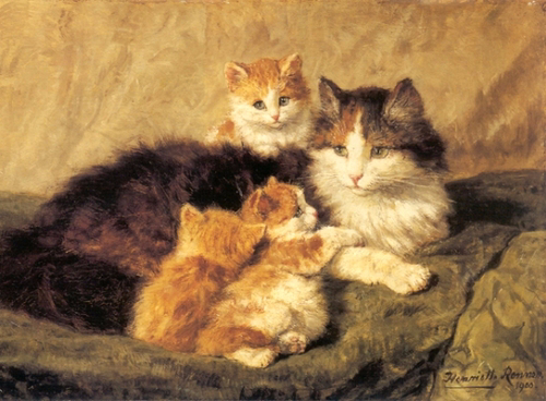 Cats & Kittens - 1900 (500x368, 239Kb)