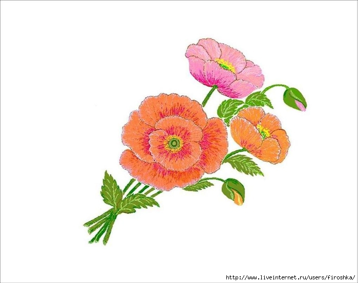 3 мака рисунок