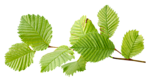 0_a4ad7_a422a0e0_S.jpg (150x82, 22Kb)