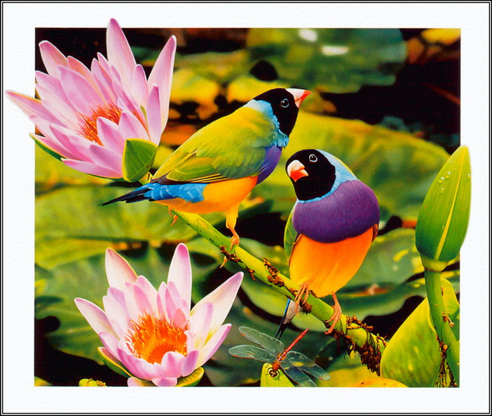 0_ab9af_4ee6e379_orig (700x592, 512Kb)