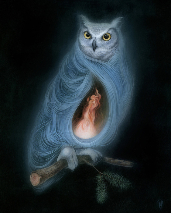 may-The-Owls-Are-Not-What-They-Seem (563x700, 343Kb)