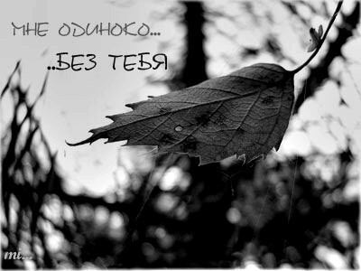  (400x300, 27Kb)