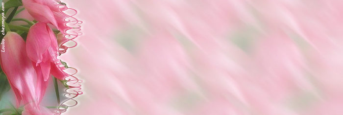  (700x235, 21Kb)