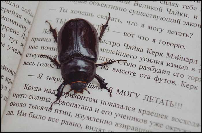  (700x463, 38Kb)