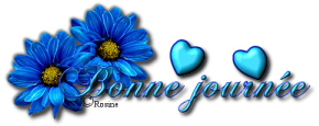bonnejourn_mini010608 (290x115, 45Kb)