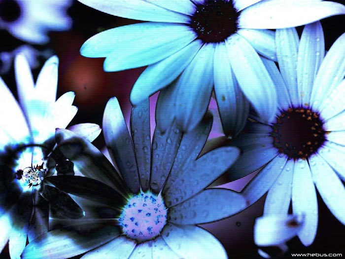  (700x525, 116Kb)