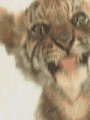  (90x120, 38Kb)