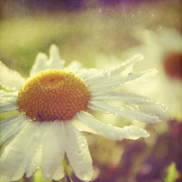  (600x600, 63Kb)