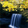 43314_prev_98 (98x98, 20Kb)