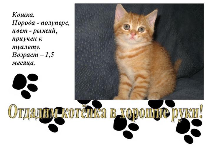  (699x500, 49Kb)