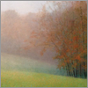 (100x100, 14Kb)
