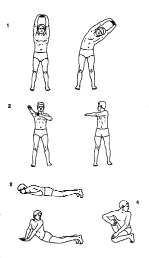  (298x514, 10Kb)