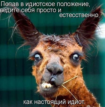  (446x457, 50Kb)