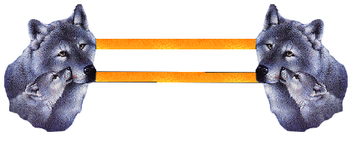  (500x200, 120Kb)