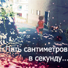  (100x100, 46Kb)