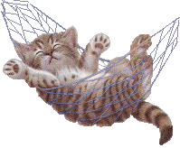 cat_hammac (199x164, 35Kb)