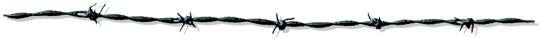  (542x39, 17Kb)
