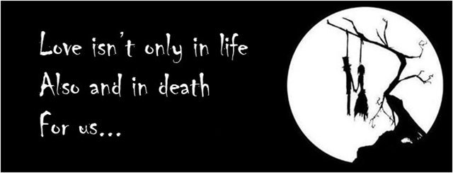  (640x244, 19Kb)