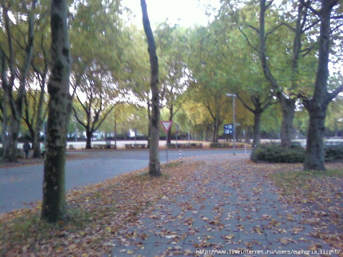  (700x525, 112Kb)