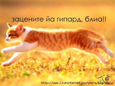  (400x300, 22Kb)