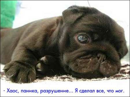  (450x338, 22Kb)