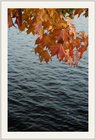  (96x140, 12Kb)