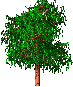  (150x180, 16Kb)