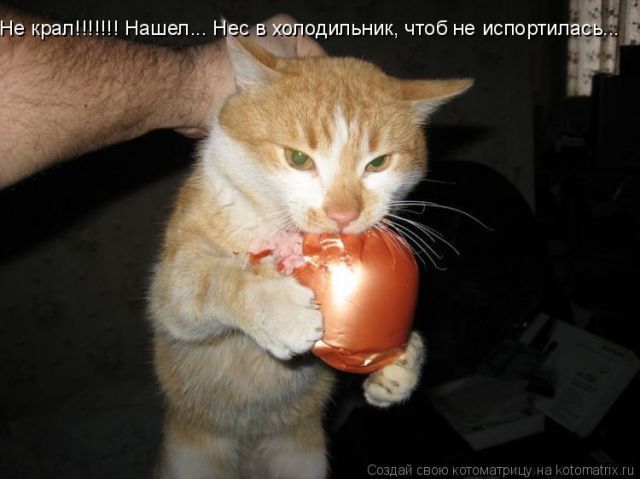  (640x479, 37Kb)