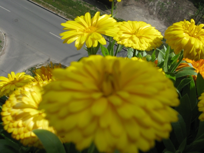 7 (700x525, 243Kb)