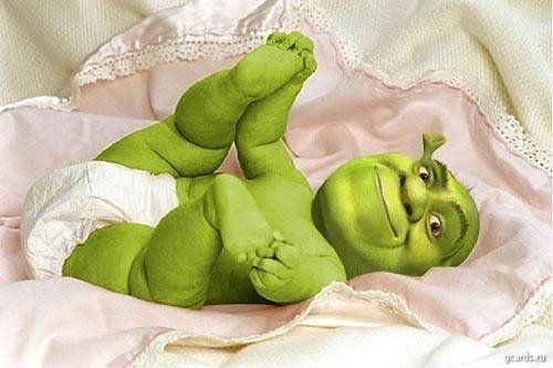  (500x333, 31Kb)