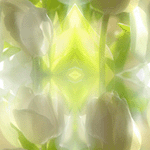  (150x150, 18Kb)
