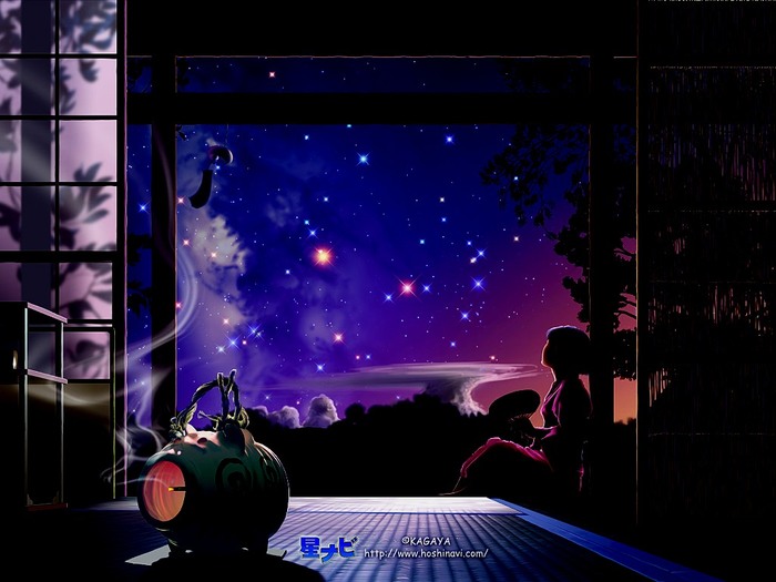  (700x525, 75Kb)