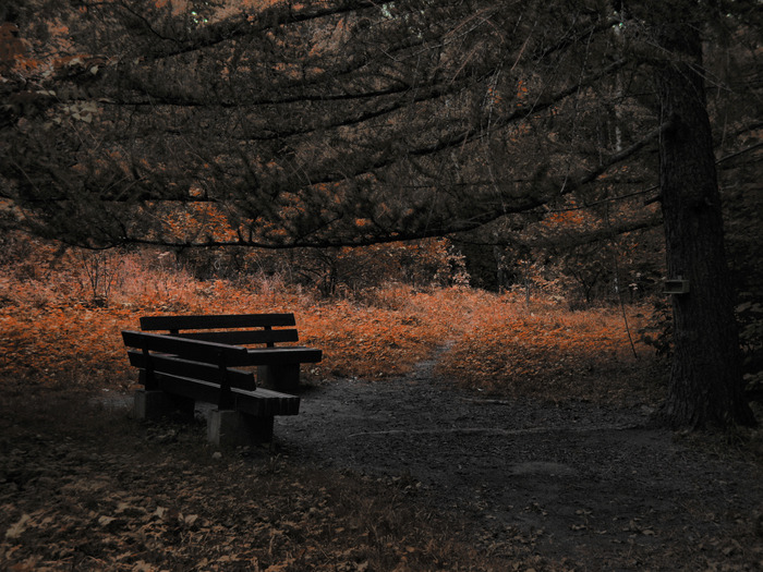 (700x525, 170Kb)