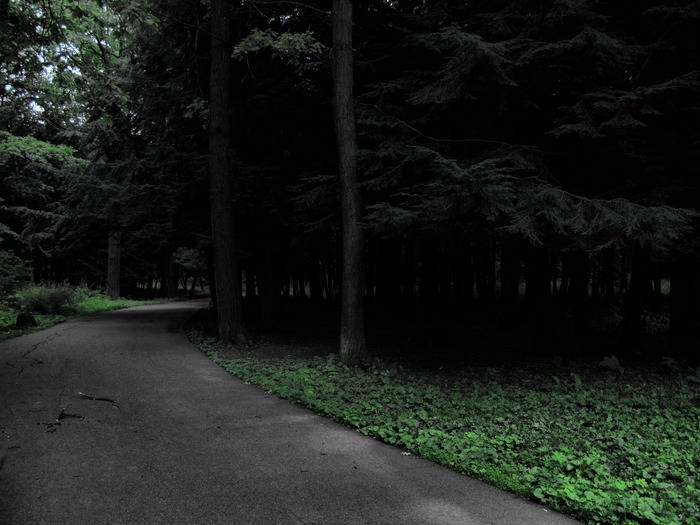  (700x525, 102Kb)