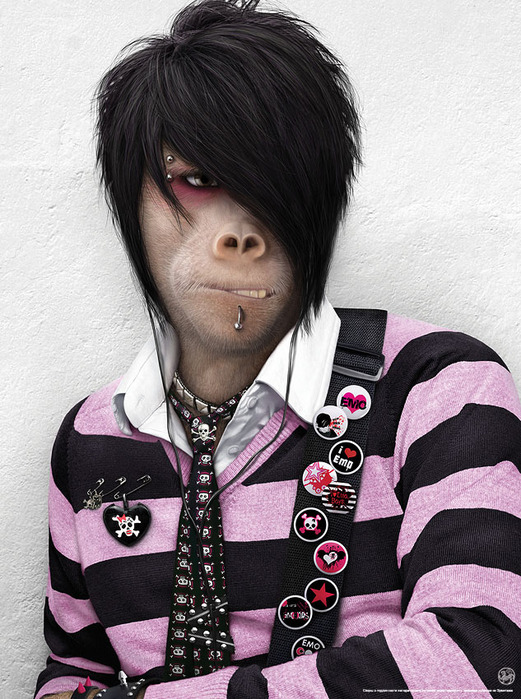  (Emo) (521x699, 159Kb)