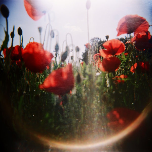  (600x600, 70Kb)