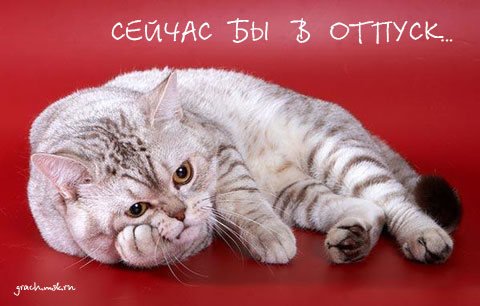  (480x306, 35Kb)