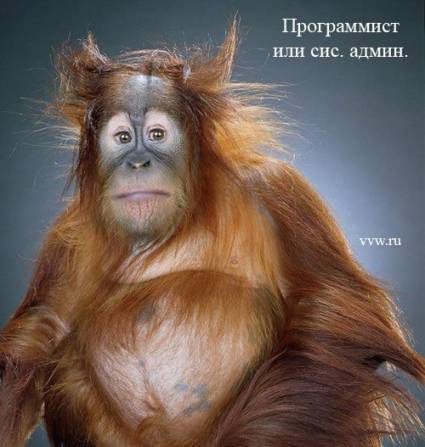 nash_ofis_010 (425x447, 26Kb)