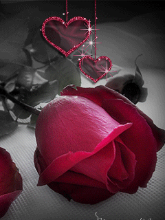 getimageCAH2DKJK (240x320, 64Kb)