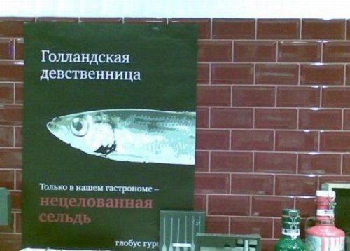  (500x358, 29Kb)